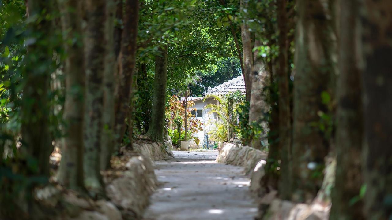 La Ohana～瀬底島～（2022年open） Okinawa Exteriér fotografie